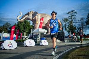 BIB: 
                            <button type="button" onclick="openModal(26541602)" class="btn btn-primary btn-sm float-right btn-popup" data-toggle="modal" data-target=".modal-high-quality">
                        <i class="fas fa-shopping-cart"></i> Add to Cart
                    </button>
                                            <button type="button" onclick="isThisMe(26541602, true)" class="btn btn-success btn-sm float-right btn-popup btn-isme hidden" data-toggle="tooltip" data-placement="bottom" title="นี่คือรูปของคุณใช่ไหม คลิกที่นี่เพื่อเอาเข้าอัลบั้ม">
                        <i class="fas fa-plus"></i> Add to album
                    </button>
                    <button type="button" onclick="isThisMe(26541602, false)" class="btn btn-warning btn-sm float-right btn-popup btn-isnotme hidden">
                        <i class="fas fa-ban"></i> Remove from album
                    </button>